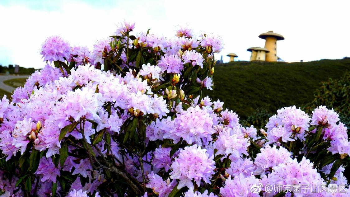 最新头条推广专业化打造您的内容矩阵:一手货源网站的数据保护措施和睦家医院回应女明星生产信息疑被泄露